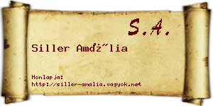 Siller Amália névjegykártya